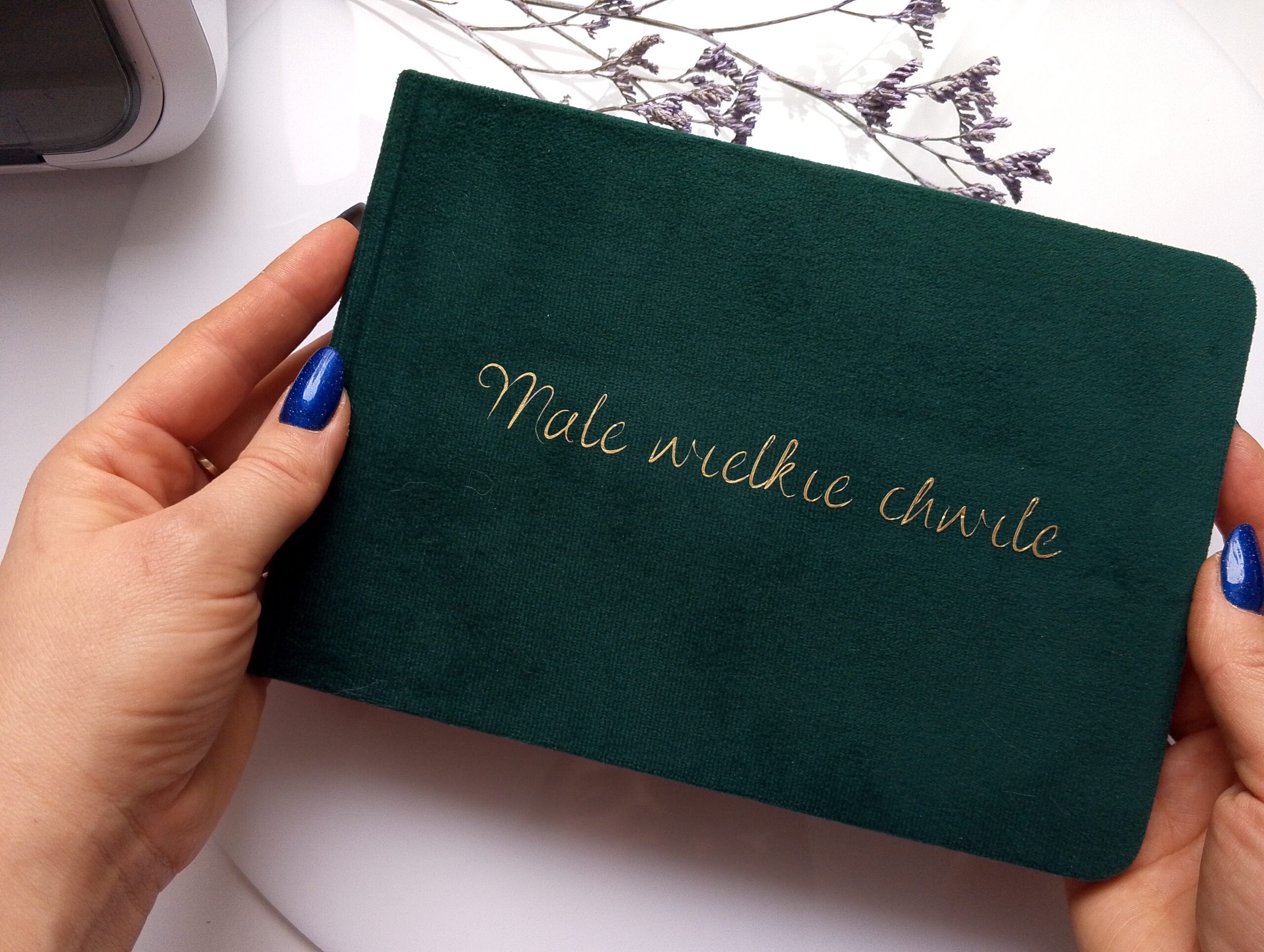 img 20260116 124802 004[1]