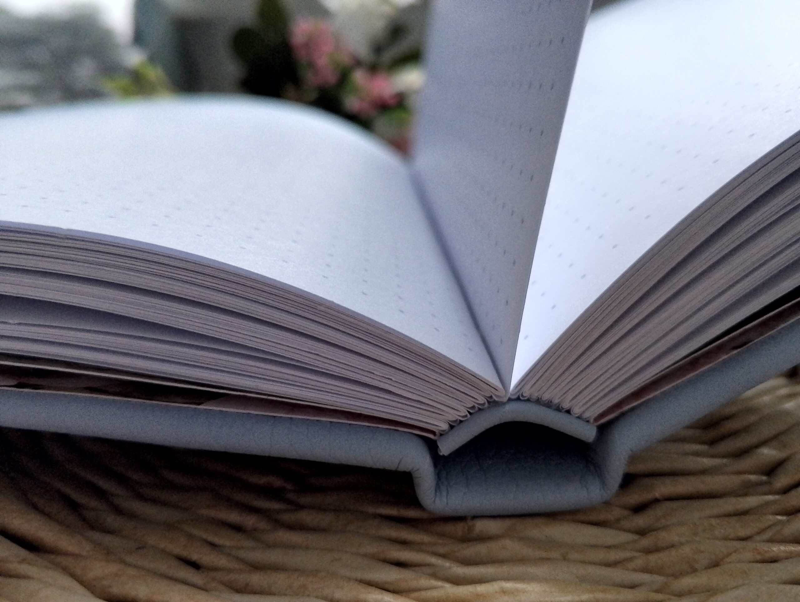 img 20260123 134906 548